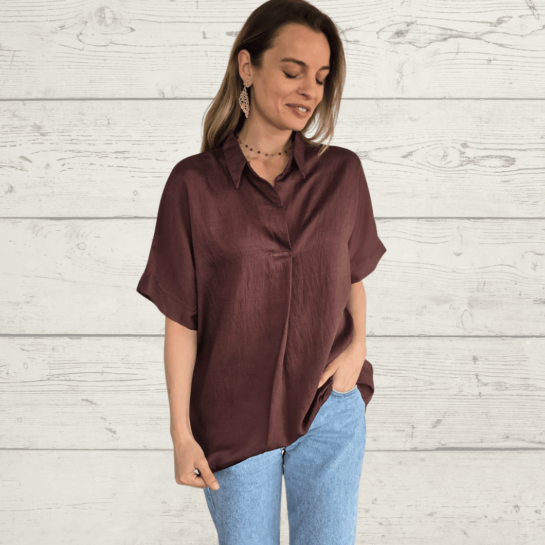 Blusa básica escote en V, color Chocolate